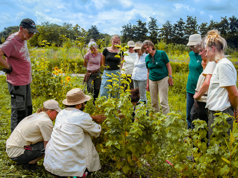 A group of people gathered around plants in a field