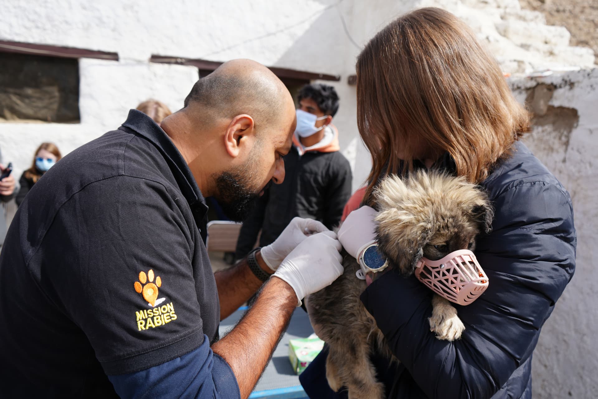 A veterinary team vaccinating a puppy during a Mission Rabies clinic
