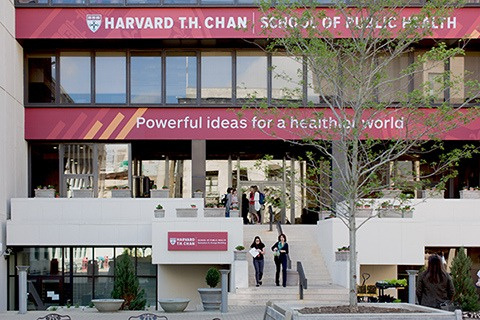 Harvard campus